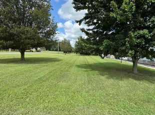 Pamela L.'s grass cutting service result