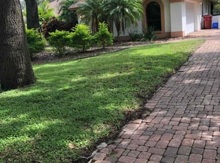 Max P.'s lawn service service result