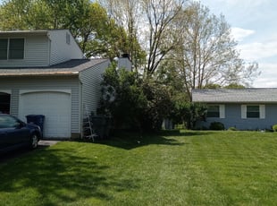 Michael N.'s Bush Trimming service result