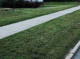 Patricia S.'s grass maintenance service result