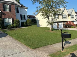 Matt F.'s turf maintenance service result