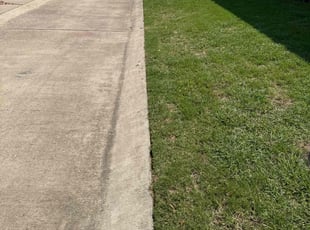Anita B.'s lawn care service result