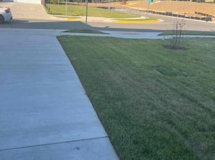 Stef J.'s turf maintenance service result