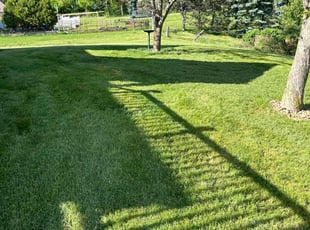 Spencer A.'s lawn care services service result