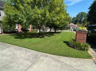 Pierre H.'s landscaping services service result