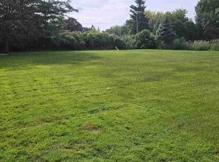 John L.'s lawn service service result