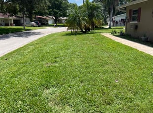 Katherine U.'s turf care service result