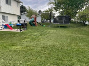 Rebecca W.'s lawn care services service result