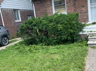 Grant F.'s Bush Trimming service result