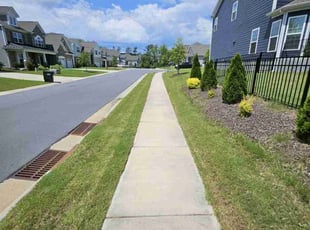 Tye J.'s yard care service result