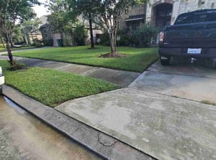 Cindy F.'s lawn care service result