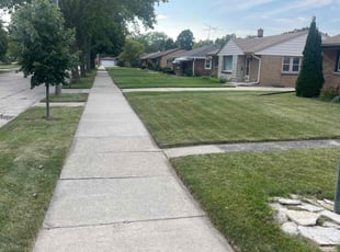 Kelly K.'s lawn service service result