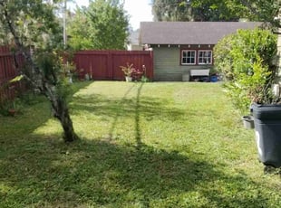 Andrea R.'s grass maintenance service result