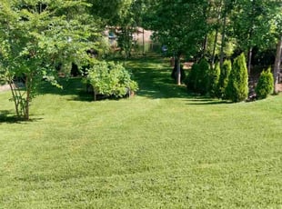 Nick F.'s lawn maintenance service result