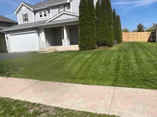Sydney E.'s turf care service result