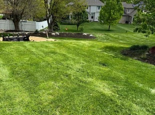 Michael C.'s lawn care service result