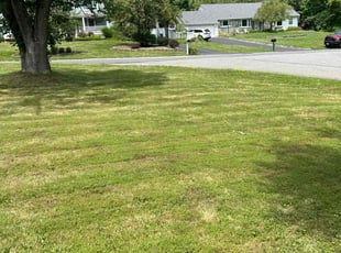 Greg G.'s grass cutting service result