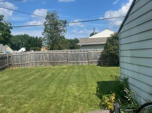Harold D.'s lawn care service result