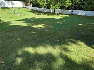 Megan B.'s turf care service result