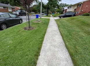 Juan C.'s lawn service service result