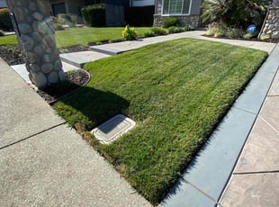 Jeffrey H.'s landscaping service result
