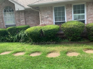 Christopher Y.'s Bush Trimming service result