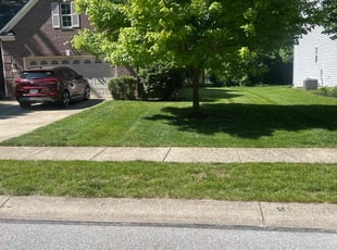 Brittany T.'s grass maintenance service result