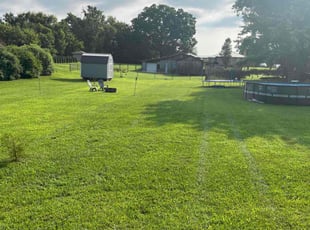 Susan M.'s grass cutting service result