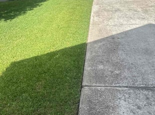 Scott M.'s Long Grass Cleanup service result