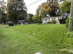 Michael H.'s lawn care service result