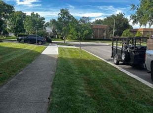 Fred B.'s grass maintenance service result