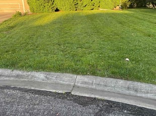 Benjamin P.'s lawn maintenance service result