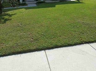 Ada G.'s grass cutting service result