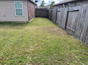 Letonia G.'s turf care service result