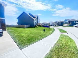 Ross M.'s lawn care services service result