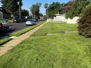 Darwin E.'s grass maintenance service result