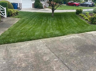 Ryan H.'s lawn care service result
