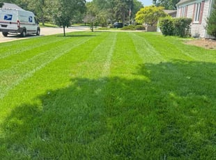 Rebecca W.'s grass cutting service result
