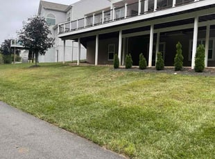 Richard R.'s grass cutting service result