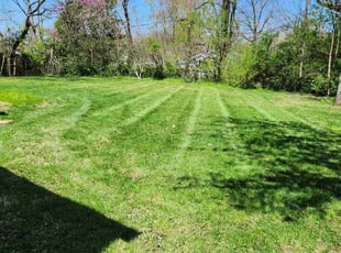Lelani W.'s lawn service service result