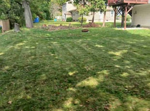 Michael P.'s lawn service service result