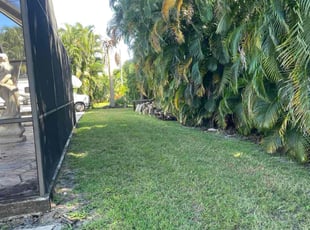 Douglas F.'s turf maintenance service result