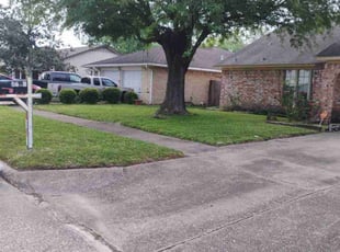 Franzella M.'s lawn care services service result