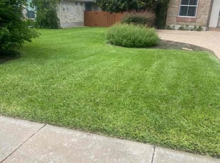Juliana P.'s lawn care services service result