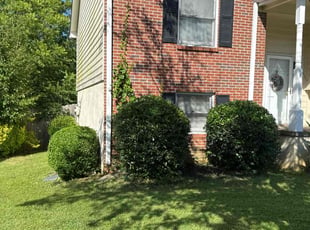 Andrew H.'s Bush Trimming service result