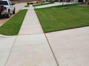 Danielle P.'s lawn service service result