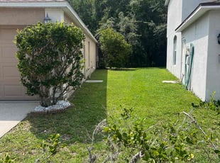 Vanessa D.'s turf maintenance service result