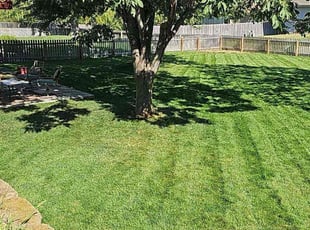 Kim M.'s lawn care service result