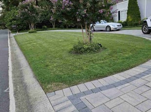 James G.'s grass maintenance service result