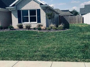 Jared H.'s lawn maintenance service result